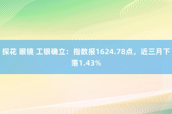 探花 眼镜 工银确立：指数报1624.78点，近三月下落1.43%