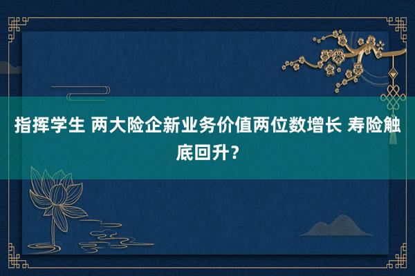 指挥学生 两大险企新业务价值两位数增长 寿险触底回升？