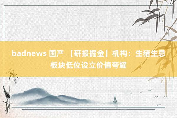 badnews 国产 【研报掘金】机构：生猪生息板块低位设立价值夸耀
