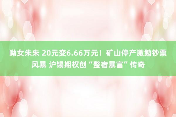 呦女朱朱 20元变6.66万元！矿山停产激勉钞票风暴 沪锡期权创“整宿暴富”传奇
